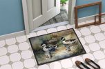 Bufflehead Doormat Front Door Mat Indoor Outdoor Rugs for Entryway, Non Slip Washable Low Pile, 24H X 36W